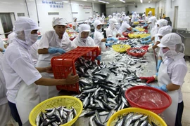 Kinh tế Việt Nam cần thay đổi phù hợp với yêu cầu phát triển mới