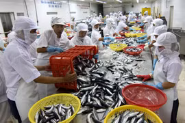 Kinh tế Việt Nam cần thay đổi phù hợp với yêu cầu phát triển mới