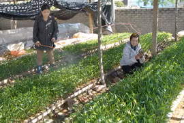 Chia sẻ kinh nghiệm phát triển rừng thích ứng biến đổi khí hậu