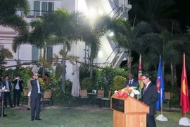 Kỷ niệm ngày Quốc khánh tại Indonesia, Mozambique và Angola