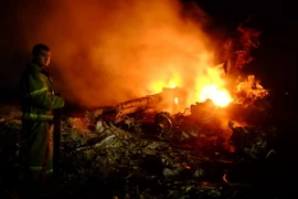 Mỹ kêu gọi điều tra khẩn về vụ máy bay Malaysia gặp nạn