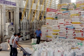 Kim ngạch xuất khẩu gạo vùng ĐBSCL đạt gần 1 tỷ USD