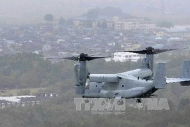 Máy bay vận tải hạng nặng MV-22 Osprey tham gia một cuộc tập trận với Nhật Bản. (Ảnh: Kyodo/TTXVN)