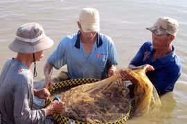 MDEC-Sóc Trăng 2014: Giới thiệu tiềm năng Đồng bằng sông Cửu Long