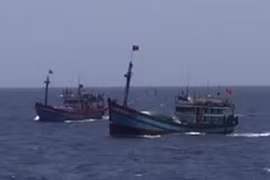 Ảnh minh họa. (Nguồn: TTXVN)