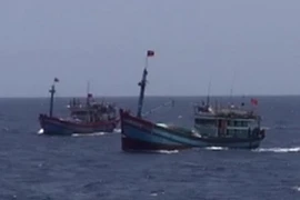 Ảnh minh họa. (Nguồn: TTXVN)