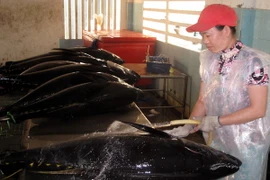 Ứng dụng khoa học trong bảo quản, chế biến nông sản-thực phẩm