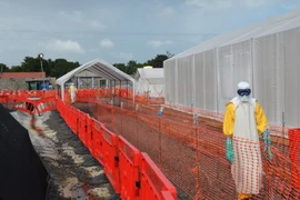 Ngân hàng Thế giới thành lập quỹ khẩn cấp chống dịch Ebola