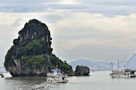 Phát động thi ảnh nghệ thuật cấp khu vực về Vịnh Hạ Long 