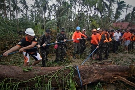 Bão Hagupit đổ bộ vào Philippines khiến hơn 20 người thiệt mạng