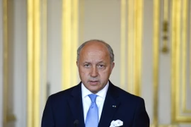 Pháp cân nhắc viện trợ vũ khí cho người Kurd chống lại IS