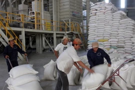 Vĩnh Long, An Giang sắp đạt chỉ tiêu mua tạm trữ lúa gạo