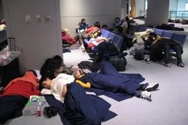 Nhật Bản: Sân bay Narita sắp khai trương “khách sạn con nhộng”