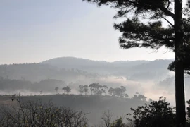 "Mưa Đà Lạt" được biến thành một sản phẩm du lịch