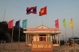 Quảng Trị: Hàng trăm xe gỗ chờ hạ tải ở cửa khẩu quốc tế La Lay