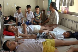 Học sinh Nam Định ngộ độc: Sữa Cô Gái Hà Lan âm tính