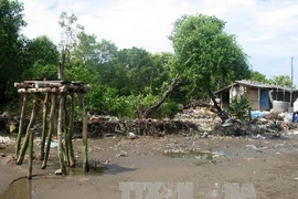 Đoạn bờ biển bị xâm thực và sạt lở nặng tại xã Tân Thành, Gò Công Đông. (Ảnh: Minh Trí/TTXVN)