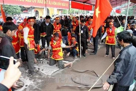 Liên hoan pháo đất tỉnh Hải Dương nằm trong khuôn khổ Lễ hội Côn Sơn-Kiếp Bạc xuân Giáp Ngọ 2014. (Ảnh: Thanh Tùng/TTXVN)