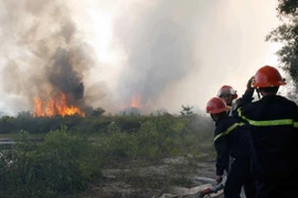 Đà Nẵng: Hai vụ hỏa hoạn gây thiệt hại khoảng 17ha rừng
