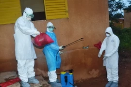 Nhật Bản tìm ra cách xác định virus Ebola trong vòng 30 phút