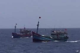Tàu đánh cá của ngư dân vẫn tiếp tục hoạt động tại khu vực Trung Quốc đặt giàn khoan. (Ảnh: Công Định-Hữu Trung/TTXVN)