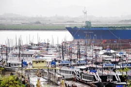 Các tỉnh miền Bắc khẩn trương ứng phó với mưa to, lũ lớn