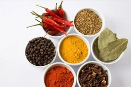 Doanh nghiệp Đức tìm cơ hội hợp tác kinh doanh với Việt Nam