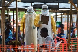 Sierra Leone bắt đầu 3 ngày giới nghiêm để ngăn virus Ebola
