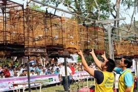 Phong phú sắc màu văn hóa tại Festival Huế 2014