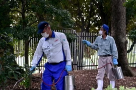 Nhật Bản: Hơn 130 người tại 17 tỉnh thành mắc sốt xuất huyết