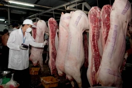 Kon Tum: Lò giết mổ gia súc tập trung giá "triệu USD" bị bỏ hoang