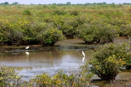 Nhiều vườn quốc gia, khu bảo tồn thiên nhiên vẫn bị xâm hại