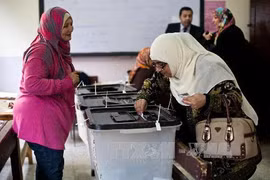 Cử tri Ai Cập bỏ phiếu trong cuộc trưng cầu dân ý về hiến pháp mới tại Cairo. (Ảnh: AFP/TTXVN)