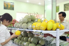 Doanh nghiệp Slovenia quan tâm đến thị trường Việt Nam