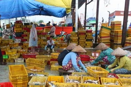 Dừng hoạt động DN xử lý chất thải không đúng quy định