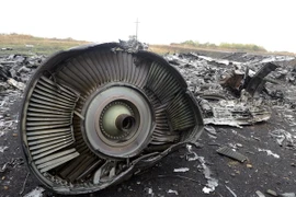 Hà Lan, Australia sẽ quyết định thời điểm trở lại hiện trường MH17