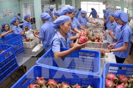 Xuất khẩu rau và hoa quả tăng trưởng khá, đạt gần 1,5 tỷ USD