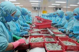 Cơ hội và thách thức trong quan hệ hợp tác kinh tế Việt-Trung