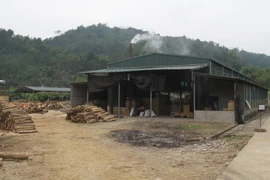 Đình chỉ hoạt động 37 cơ sở gây ô nhiễm môi trường nghiêm trọng