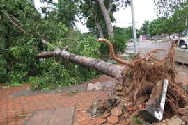 Có thể xuất hiện bão hoặc áp thấp trên Biển Đông trong tháng 12