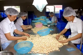 Hỗ trợ doanh nghiệp tận dụng cơ hội xuất khẩu sang Hoa Kỳ