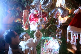 Chúc mừng chức sắc, đồng bào Công giáo dịp Giáng sinh