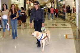 Bốn người bị bắt vì giả mù để kiếm hơn 300.000 euro tiền thương tật