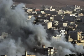 Syria: Các cuộc không kích do Mỹ cầm đầu không làm suy yếu IS