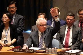 Nga yêu cầu Ukraine giải thích thông tin chấm dứt lệnh ngừng bắn