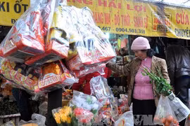 (Ảnh: Nguyễn Thủy/TTXVN)