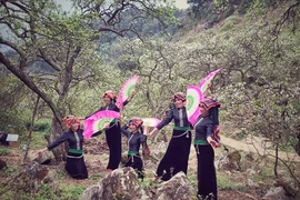 Các cô gái Thái trong điệu Xòe mừng Xuân mới. (Ảnh: Mai Mai/Vietnam+)