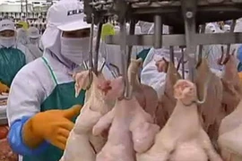 Nhật Bản bỏ lệnh cấm nhập thịt gà đông lạnh từ Thái Lan 