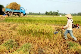 ASEAN chú trọng tăng cường an ninh lương thực và dinh dưỡng