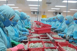 Cần Thơ xuất siêu 616 triệu USD, cao nhất từ trước đến nay